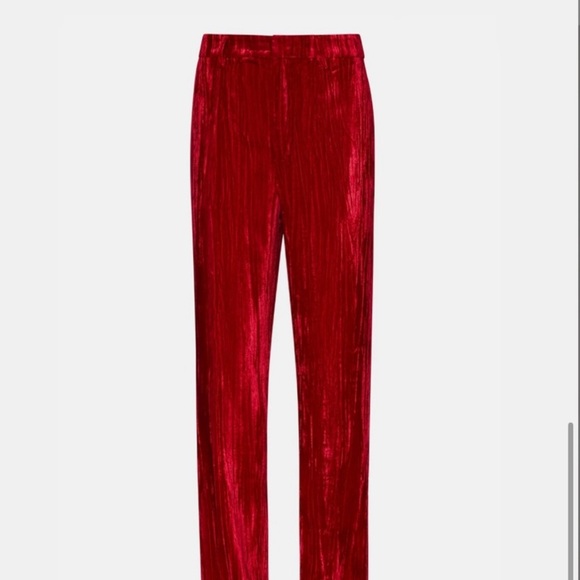 Velvet pants - Steve Madden - Picture 5 of 8